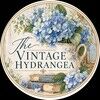 thevtghydrangea